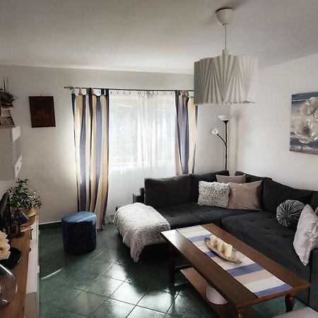 Apartment Mira Vrsar Extérieur photo